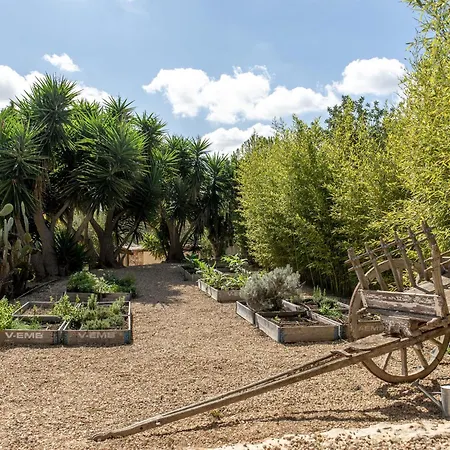 بيت للعطل Luxurious Finca Gertrudis With Pool سانتا أيُلاريا ذيس ريو