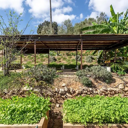 Luxurious Finca Gertrudis With Pool